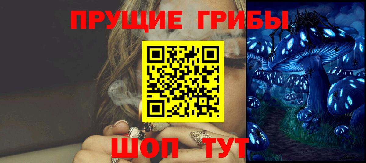 Галлюциногенные грибы Cubensis  Вход с VPN  Галлюциногенные грибы прущие грибы  как найти закладки  Алейск 